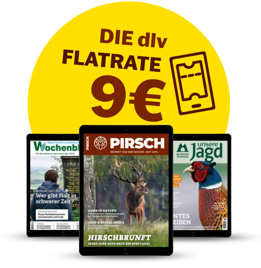 Für nur 9 € pro Monat