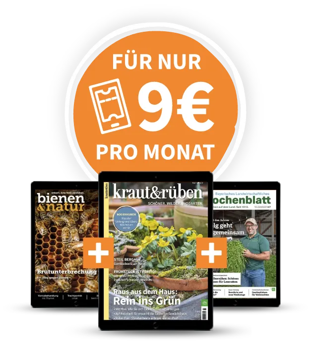 Für nur 9€ pro Monat