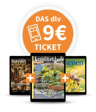 Für nur 9 € pro Monat